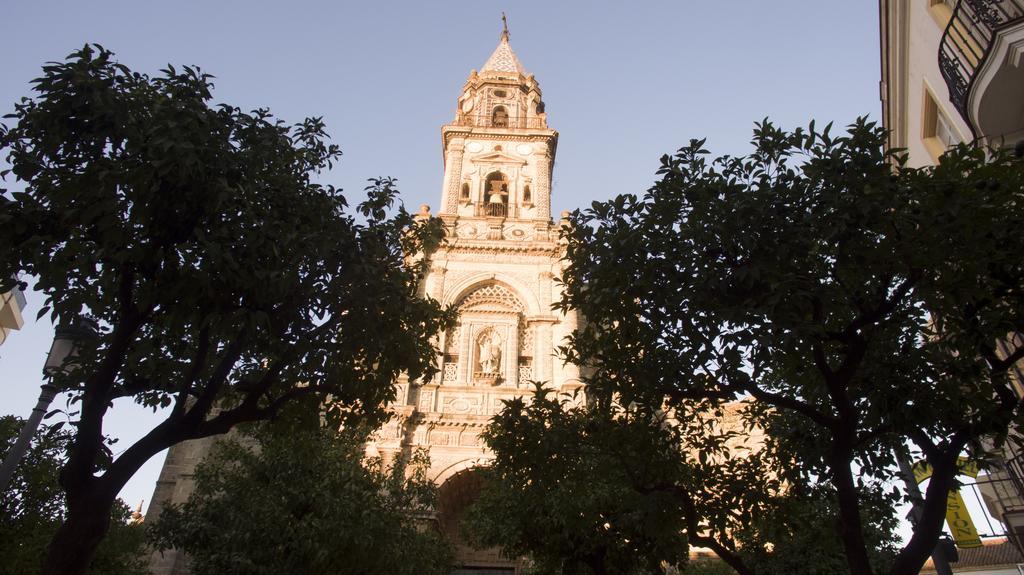 Apartamento Cruz Vieja Jerez de la Frontera Zimmer foto