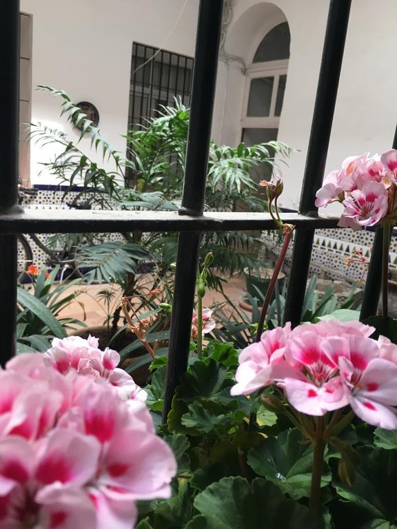 Apartamento Cruz Vieja Jerez de la Frontera Zimmer foto